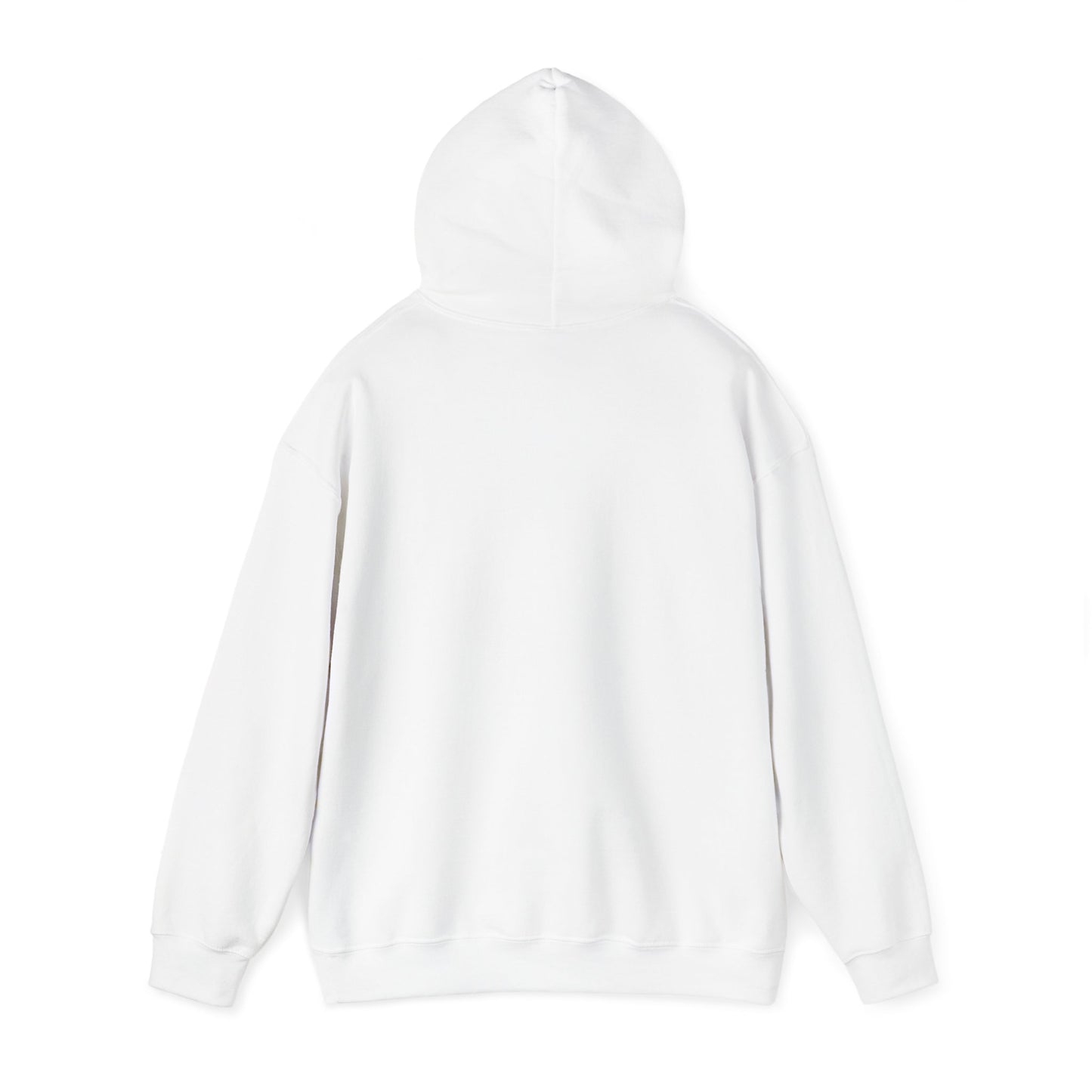 2008 Hooded Sweatshirt 1