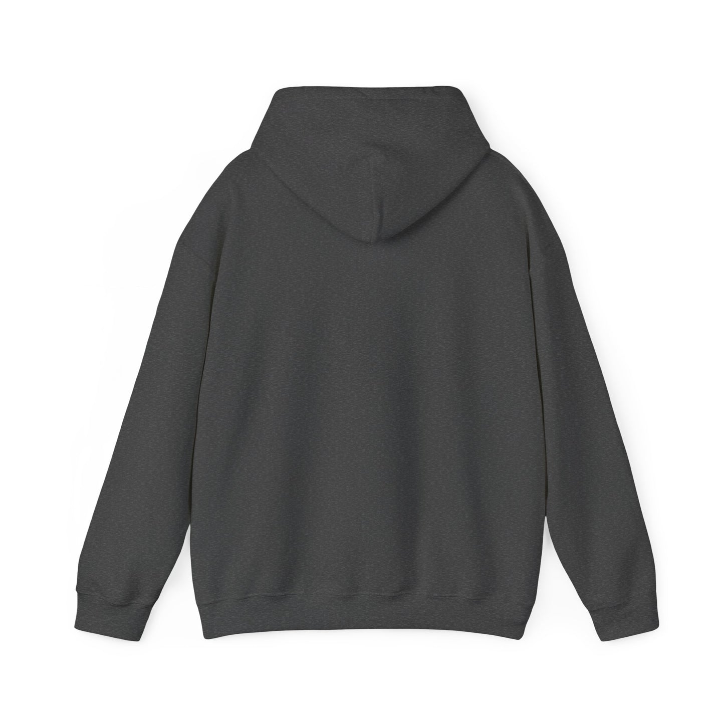 2008 Hooded Sweatshirt 1