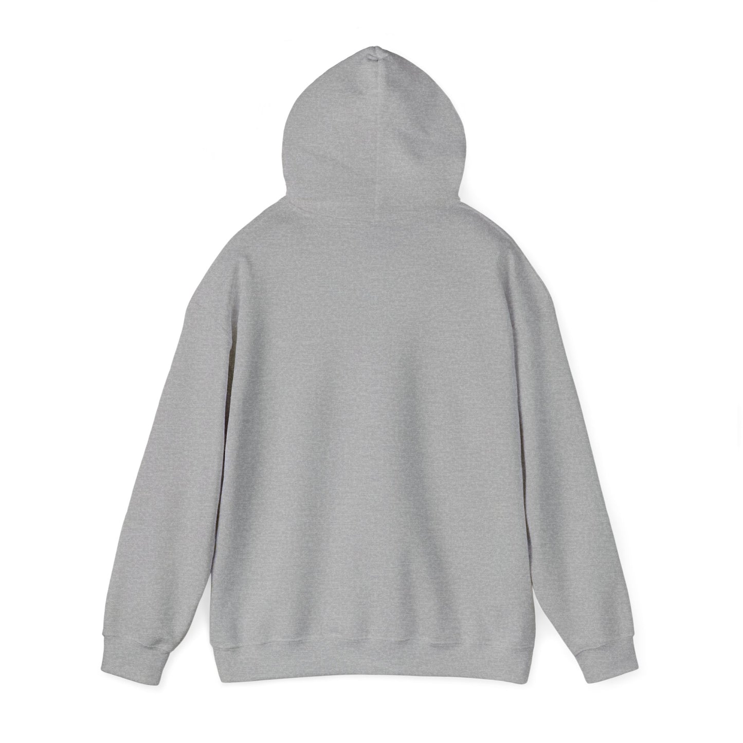 2008 Hooded Sweatshirt 1