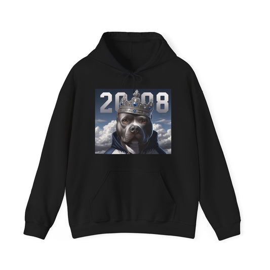 2008 Hooded Sweatshirt 1